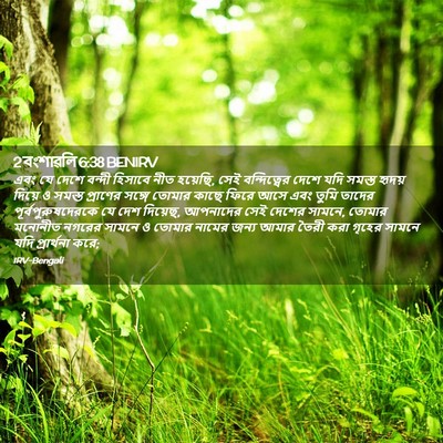 Picture 02 - 2 বংশাৱলি 6:38 BENIRV - এবং যে দেশে বন্দী - Bible Verse Picture