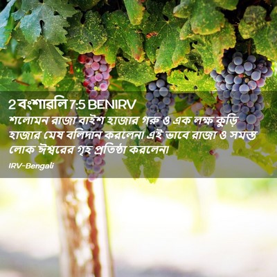 Picture 02 - 2 বংশাৱলি 7:5 BENIRV - শলোমন রাজা বাইশ - Bible Verse Picture