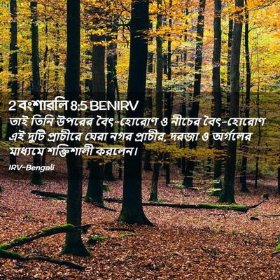 Picture 02 - 2 বংশাৱলি 8:5 BENIRV - তাই তিনি উপরের - Bible Verse Picture