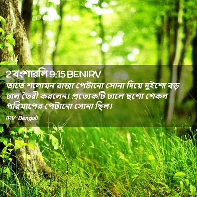 Picture 02 - 2 বংশাৱলি 9:15 BENIRV - তাতে শলোমন রাজা - Bible Verse Picture