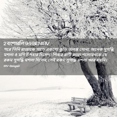 Picture 02 - 2 বংশাৱলি 9:9 BENIRV - পরে তিনি রাজাকে - Bible Verse Picture
