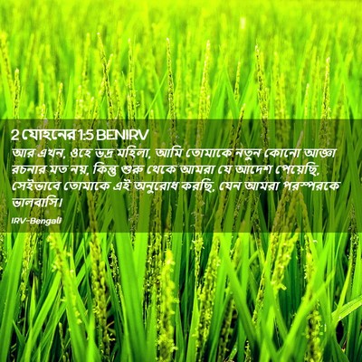 Picture 02 - 2 যোহনের 1:5 BENIRV - আর এখন, ওহে ভদ্র - Bible Verse Picture