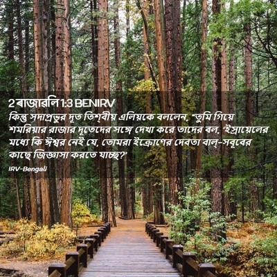 Picture 02 - 2 ৰাজাৱলি 1:3 BENIRV - কিন্তু সদাপ্রভুর - Bible Verse Picture
