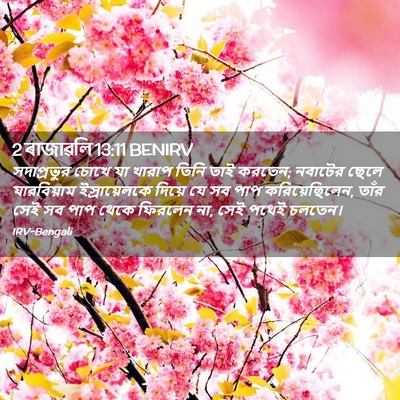 Picture 02 - 2 ৰাজাৱলি 13:11 BENIRV - সদাপ্রভুর চোখে যা - Bible Verse Picture