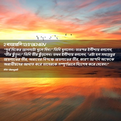 Picture 02 - 2 ৰাজাৱলি 13:17 BENIRV - “পূর্ব দিকের - Bible Verse Picture