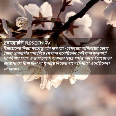 Picture 02 - 2 ৰাজাৱলি 14:25 BENIRV - ইস্রায়েলের ঈশ্বর - Bible Verse Picture