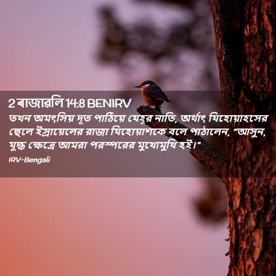 Picture 02 - 2 ৰাজাৱলি 14:8 BENIRV - তখন অমৎসিয় দূত - Bible Verse Picture