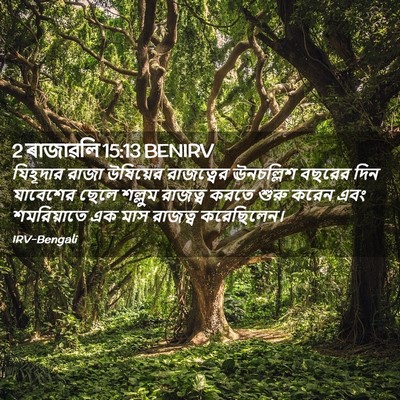 Picture 02 - 2 ৰাজাৱলি 15:13 BENIRV - যিহূদার রাজা - Bible Verse Picture