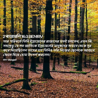 Picture 02 - 2 ৰাজাৱলি 16:3 BENIRV - তার পরিবর্তে তিনি - Bible Verse Picture