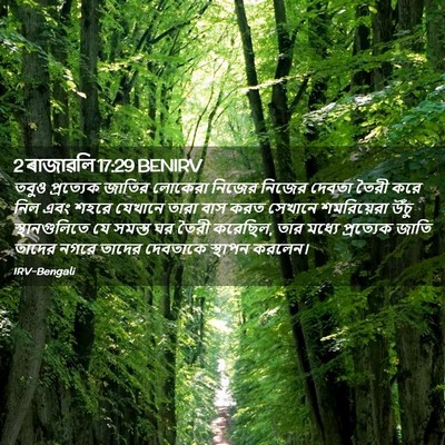 Picture 02 - 2 ৰাজাৱলি 17:29 BENIRV - তবুও প্রত্যেক - Bible Verse Picture