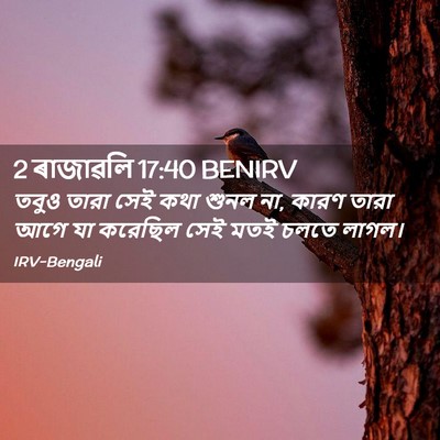 Picture 02 - 2 ৰাজাৱলি 17:40 BENIRV - তবুও তারা সেই কথা - Bible Verse Picture