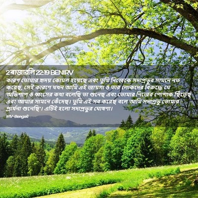 Picture 02 - 2 ৰাজাৱলি 22:19 BENIRV - কারণ তোমার হৃদয় - Bible Verse Picture