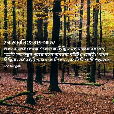 Picture 02 - 2 ৰাজাৱলি 22:8 BENIRV - তখন রাজার লেখক - Bible Verse Picture