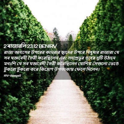 Picture 02 - 2 ৰাজাৱলি 23:12 BENIRV - রাজা আহসের উপরের - Bible Verse Picture