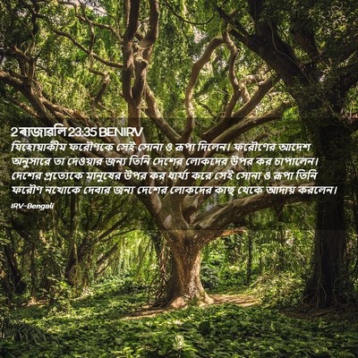 Picture 02 - 2 ৰাজাৱলি 23:35 BENIRV - যিহোয়াকীম ফরৌণকে - Bible Verse Picture