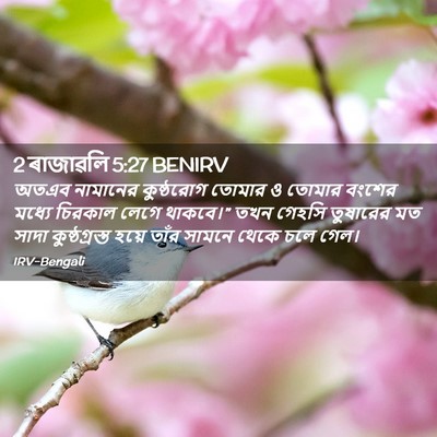 Picture 02 - 2 ৰাজাৱলি 5:27 BENIRV - অতএব নামানের - Bible Verse Picture