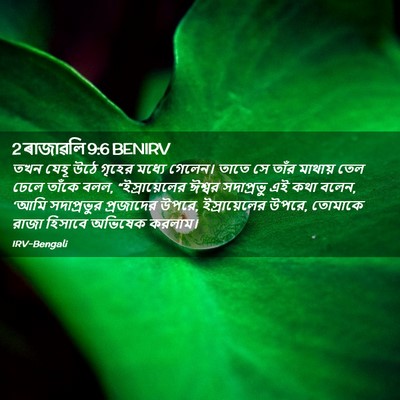 Picture 02 - 2 ৰাজাৱলি 9:6 BENIRV - তখন যেহূ উঠে গৃহের - Bible Verse Picture
