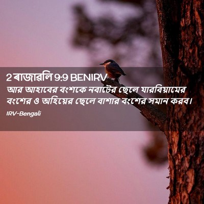 Picture 02 - 2 ৰাজাৱলি 9:9 BENIRV - আর আহাবের বংশকে - Bible Verse Picture