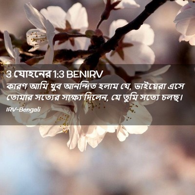 Picture 02 - 3 যোহনের 1:3 BENIRV - কারণ আমি খুব - Bible Verse Picture