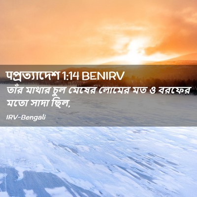 Picture 02 - पপ্রত্যাদেশ 1:14 BENIRV - তাঁর মাথার চুল - Bible Verse Picture