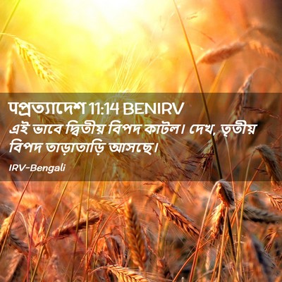 Picture 02 - पপ্রত্যাদেশ 11:14 BENIRV - এই ভাবে দ্বিতীয় - Bible Verse Picture