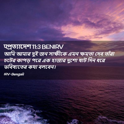 Picture 02 - पপ্রত্যাদেশ 11:3 BENIRV - আমি আমার দুই জন - Bible Verse Picture