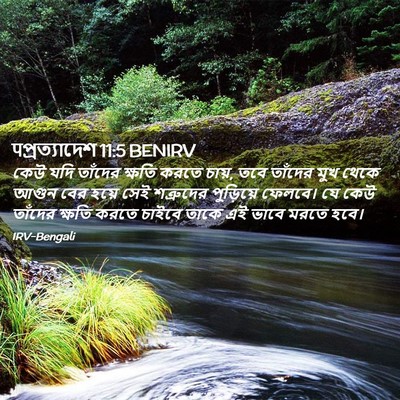 Picture 02 - पপ্রত্যাদেশ 11:5 BENIRV - কেউ যদি তাঁদের - Bible Verse Picture