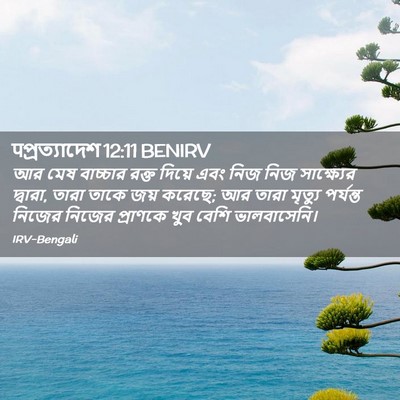 Picture 02 - पপ্রত্যাদেশ 12:11 BENIRV - আর মেষ বাচ্চার - Bible Verse Picture