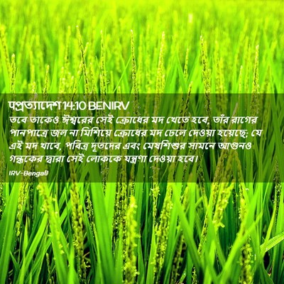 Picture 02 - पপ্রত্যাদেশ 14:10 BENIRV - তবে তাকেও ঈশ্বরের - Bible Verse Picture