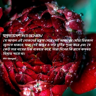 Picture 02 - पপ্রত্যাদেশ 14:11 BENIRV - যে আগুন এই লোকদের - Bible Verse Picture