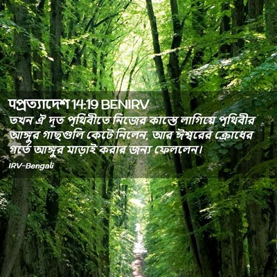 Picture 02 - पপ্রত্যাদেশ 14:19 BENIRV - তখন ঐ দূত পৃথিবীতে - Bible Verse Picture