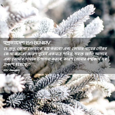 Picture 02 - पপ্রত্যাদেশ 15:4 BENIRV - হে প্রভু, কে না - Bible Verse Picture