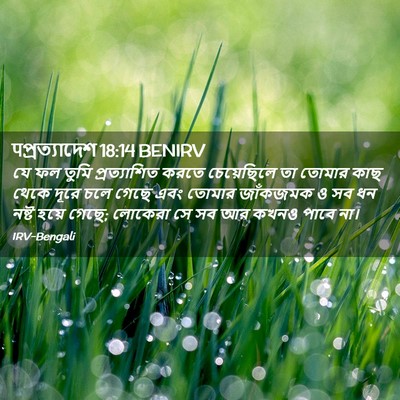 Picture 02 - पপ্রত্যাদেশ 18:14 BENIRV - যে ফল তুমি - Bible Verse Picture