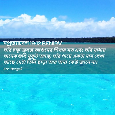 Picture 02 - पপ্রত্যাদেশ 19:12 BENIRV - তাঁর চক্ষু - Bible Verse Picture