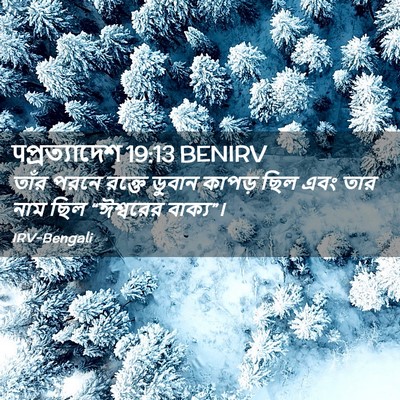 Picture 02 - पপ্রত্যাদেশ 19:13 BENIRV - তাঁর পরনে রক্তে - Bible Verse Picture