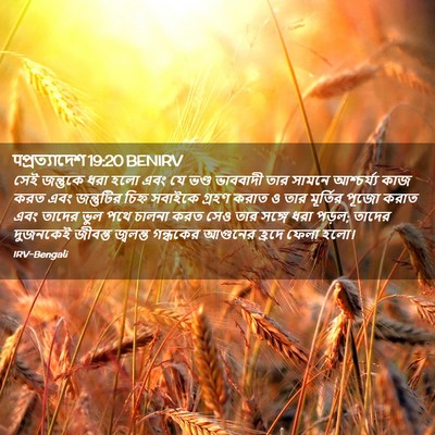 Picture 02 - पপ্রত্যাদেশ 19:20 BENIRV - সেই জন্তুকে ধরা - Bible Verse Picture