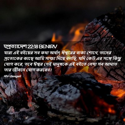 Picture 02 - पপ্রত্যাদেশ 22:18 BENIRV - যারা এই বইয়ের সব - Bible Verse Picture