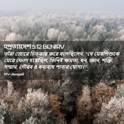 Picture 02 - पপ্রত্যাদেশ 5:12 BENIRV - তাঁরা জোরে - Bible Verse Picture