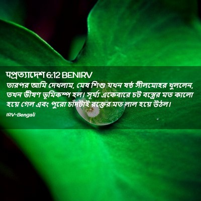Picture 02 - पপ্রত্যাদেশ 6:12 BENIRV - তারপর আমি দেখলাম, - Bible Verse Picture