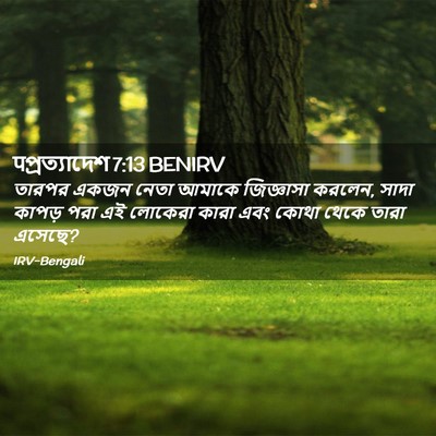 Picture 02 - पপ্রত্যাদেশ 7:13 BENIRV - তারপর একজন নেতা - Bible Verse Picture