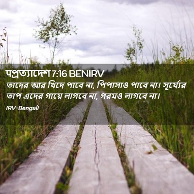 Picture 02 - पপ্রত্যাদেশ 7:16 BENIRV - তাদের আর খিদে পাবে - Bible Verse Picture