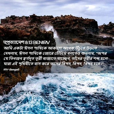Picture 02 - पপ্রত্যাদেশ 8:13 BENIRV - আমি একটা ঈগল - Bible Verse Picture