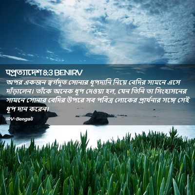 Picture 02 - पপ্রত্যাদেশ 8:3 BENIRV - অপর একজন - Bible Verse Picture