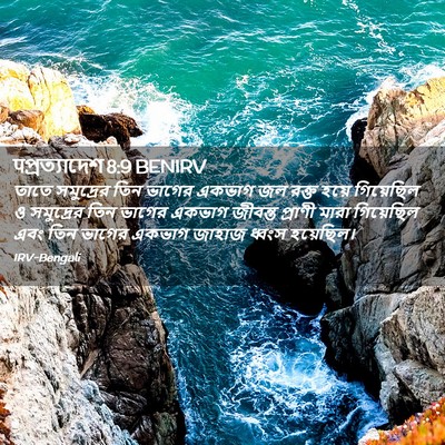 Picture 02 - पপ্রত্যাদেশ 8:9 BENIRV - তাতে সমুদ্রের তিন - Bible Verse Picture
