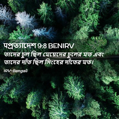 Picture 02 - पপ্রত্যাদেশ 9:8 BENIRV - তাদের চুল ছিল - Bible Verse Picture