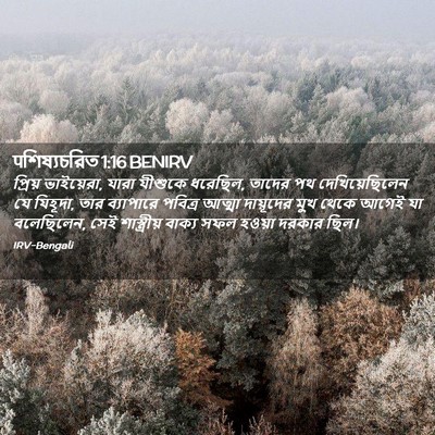 Picture 02 - पশিষ্যচরিত 1:16 BENIRV - প্রিয় ভাইয়েরা, - Bible Verse Picture