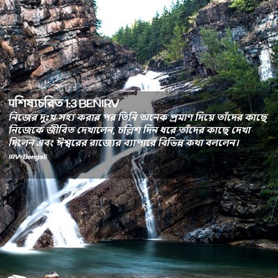 Picture 02 - पশিষ্যচরিত 1:3 BENIRV - নিজের দুঃখ সহ্য - Bible Verse Picture