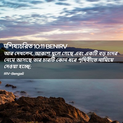 Picture 02 - पশিষ্যচরিত 10:11 BENIRV - আর দেখলেন, আকাশ - Bible Verse Picture