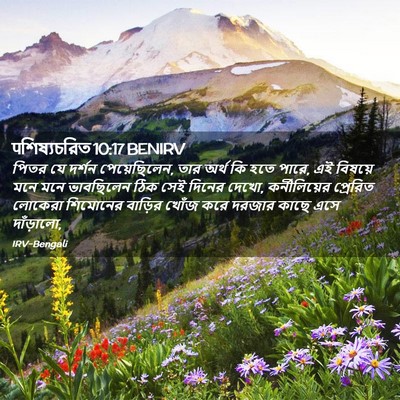 Picture 02 - पশিষ্যচরিত 10:17 BENIRV - পিতর যে দর্শন - Bible Verse Picture