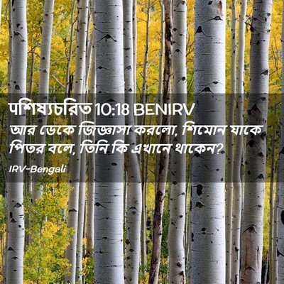 Picture 02 - पশিষ্যচরিত 10:18 BENIRV - আর ডেকে জিজ্ঞাসা - Bible Verse Picture